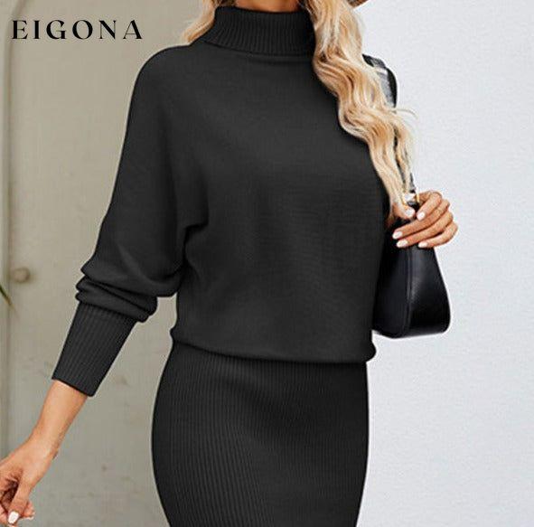 Women's turtleneck long sleeve slim fit sweater dress Black casual dresses clothes dress dresses long sleeve dress long sleeve dresses