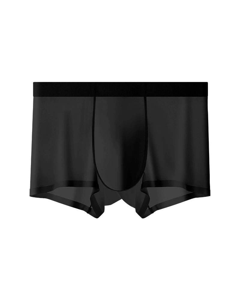 Men's Ice Silk Underwear