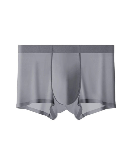 Men's Ice Silk Underwear 2024 f/w lingerie man] spring summer