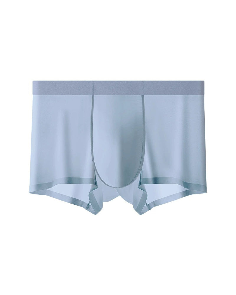 Men's Ice Silk Underwear