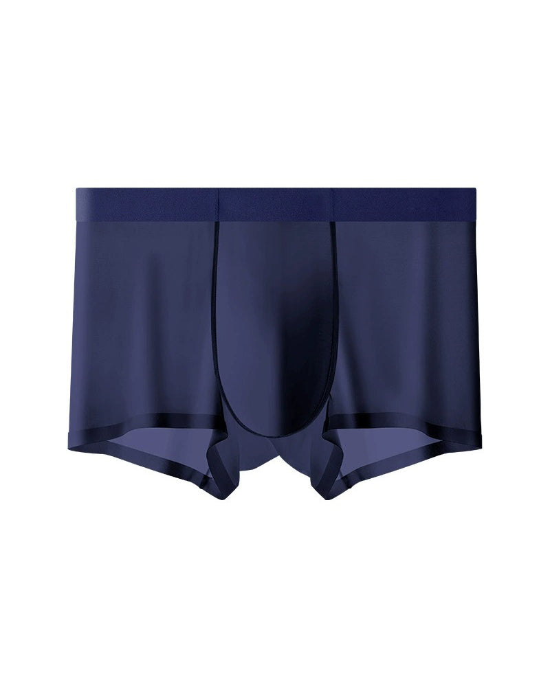 Men's Ice Silk Underwear