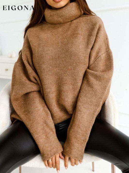 Women's turtleneck loose warm sweater Camel clothes sweaters turtleneck sweater