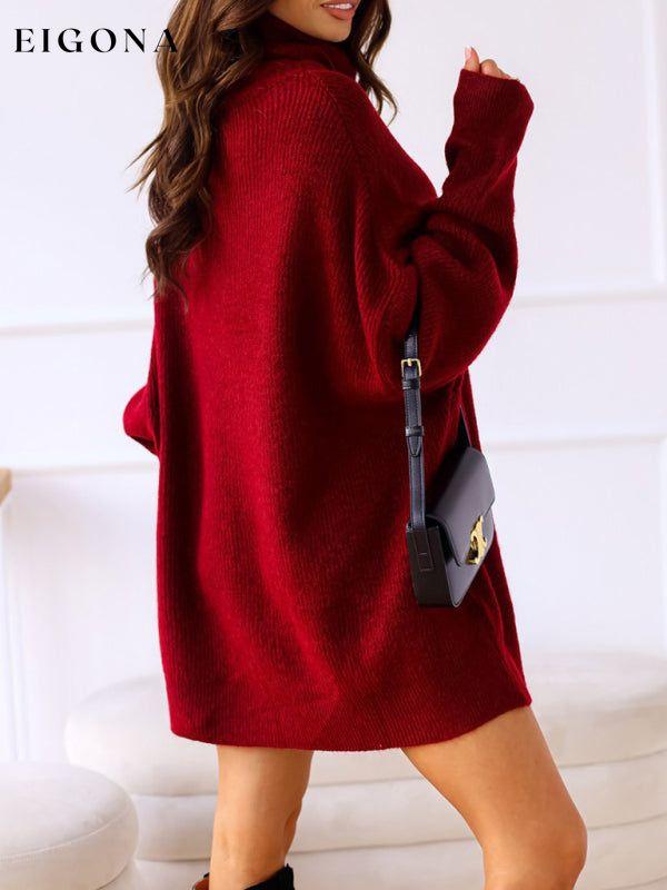 Women's turtleneck loose warm sweater clothes sweaters turtleneck sweater