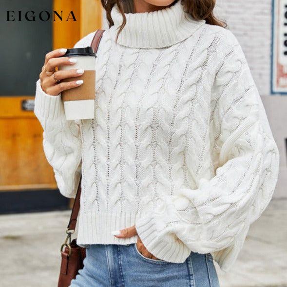 Ladies rough hemp turtleneck casual sweater clothes Sweater sweaters