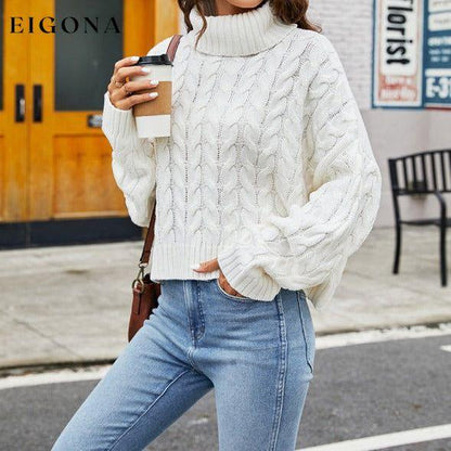 Ladies rough hemp turtleneck casual sweater White clothes Sweater sweaters