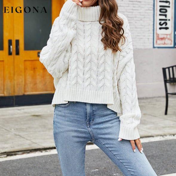Ladies rough hemp turtleneck casual sweater clothes Sweater sweaters